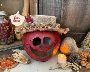 A fall apple decoration that is a real gourd with a happy face  carved into it. This gourd is named Cora and has a rustic handmade hat